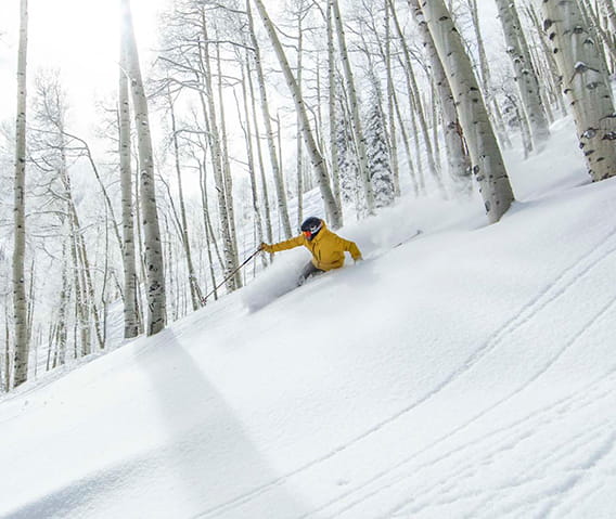 A skiier in a yellow jacket skiing through the Aspen trees.
