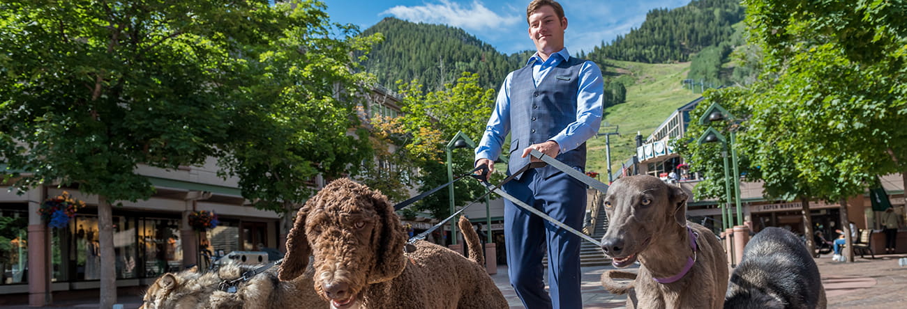 careers at the little nell