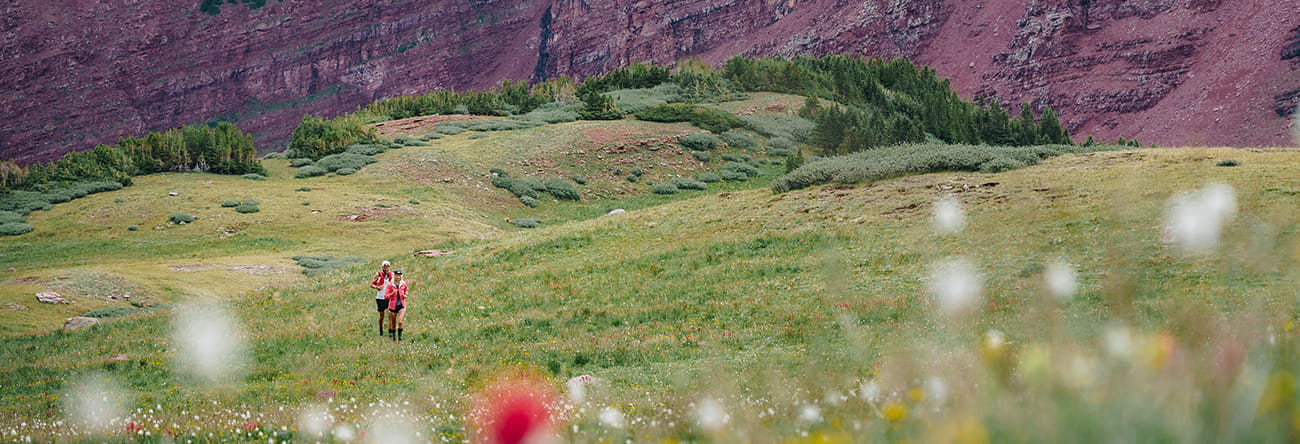 couple hiking through wildflowers