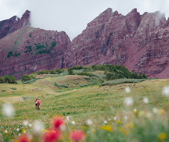 couple hiking through wildflowers