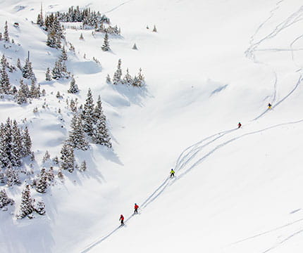 winter skiing