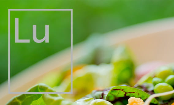 element 47 lunch menu