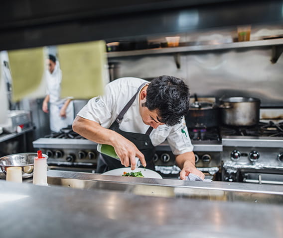 click here to see our talent