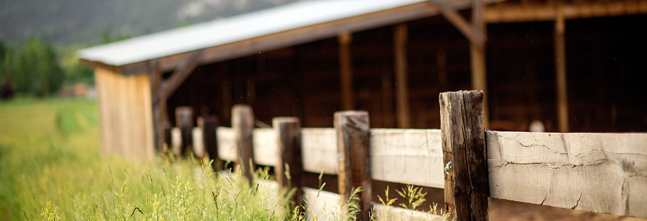 the little nell purveyors