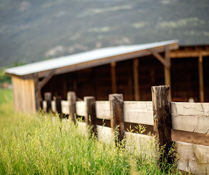 the little nell purveyors