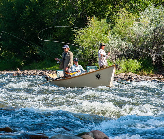 adventures with the little nell fly fishing roaring fork