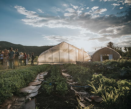 Greenhouses and crops on Rock Bottom Ranch