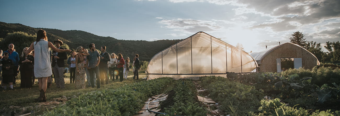 Greenhouses and farming areas at Rock Bottom Ranch