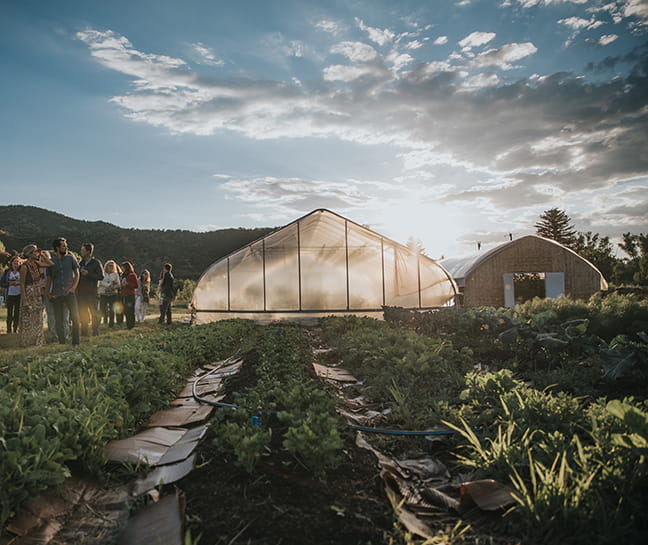 Greenhouses and farming areas at Rock Bottom Ranch