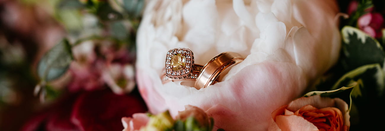 Rose gold wedding bands tucked inside a pink rose.