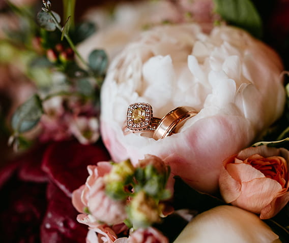 Rose gold wedding bands tucked inside a pink rose.