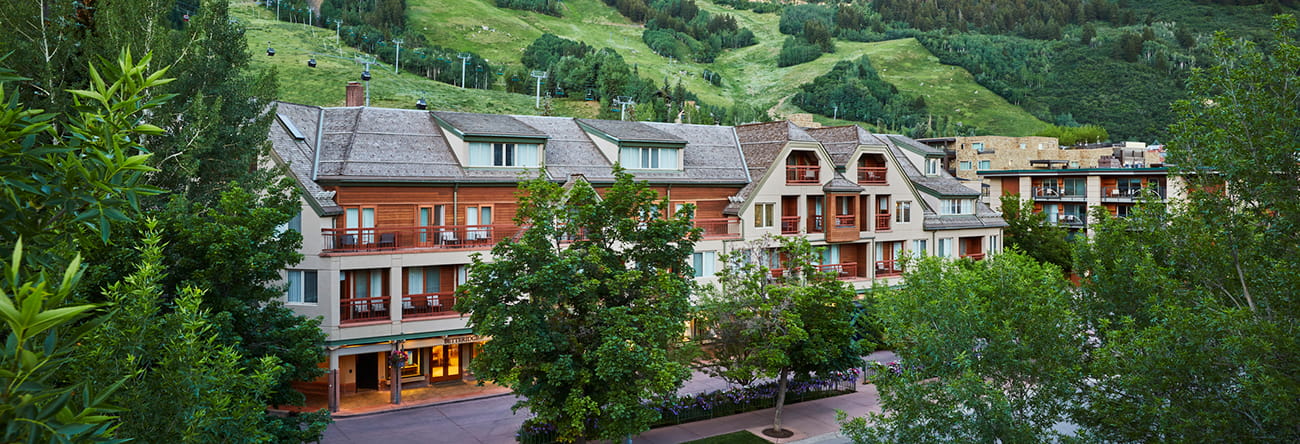 learn about the little nell