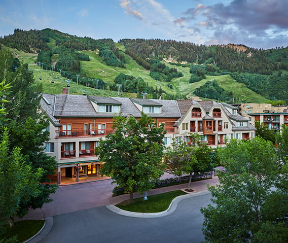 learn about the little nell