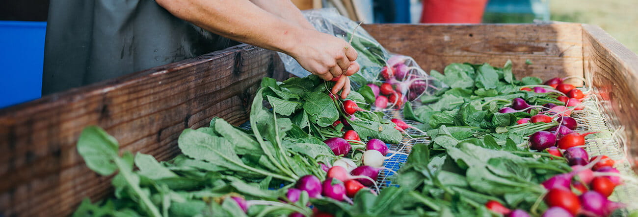 The Little Nell environmental initiatives include the hotel's commitment to using fresh, organic ingredients from local farms, such as these radishes from Rock Bottom Ranch.