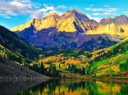 MAROON BELLS