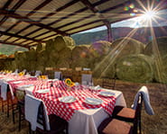 emma farms dinner aspen