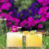 Two margaritas in front of a flower wall at the little nell.