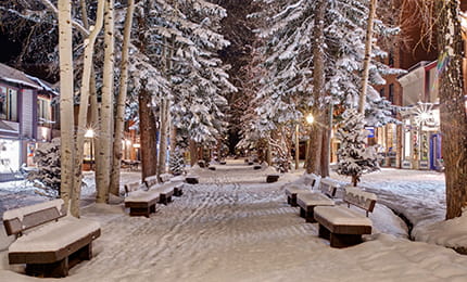 aspen holiday town nell