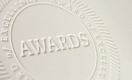 An awards of excellence stamp embossed on paper. 