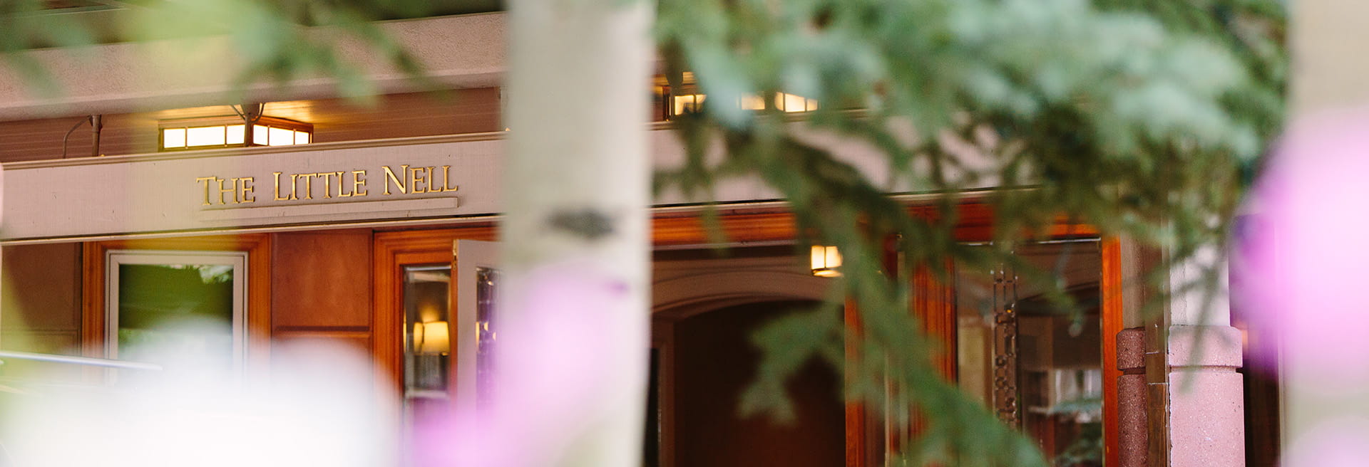 front entrance of the little nell through trees