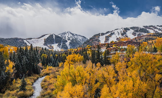 fall colors and snow on the mountain in aspen, colorado