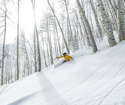 A person in a yellow jacket skiing down the mountain through Aspen trees.