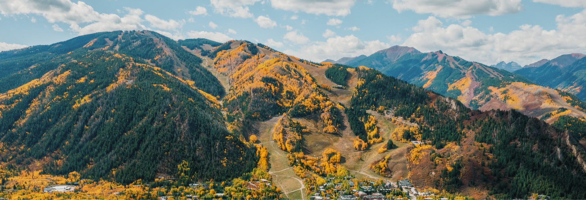 Aspen Trees changing colors in the fall