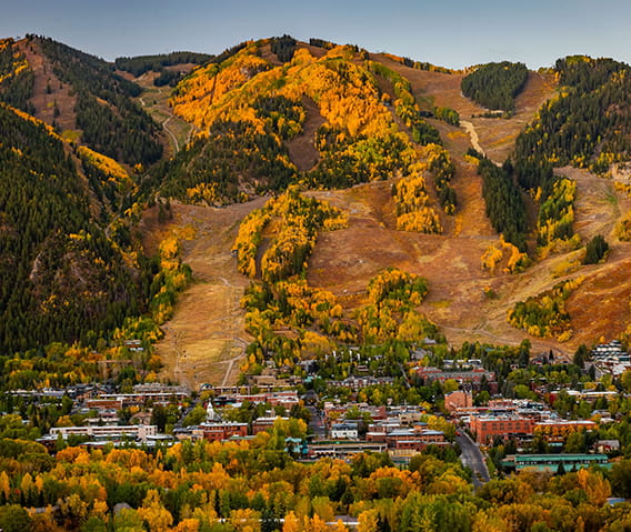 cyclist biking down the road together