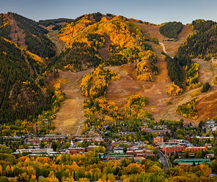 cyclist biking down the road together