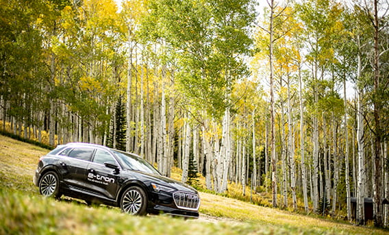 An adventure guide takes guests on an off-road tour of Aspen's fall colors in an Audi.