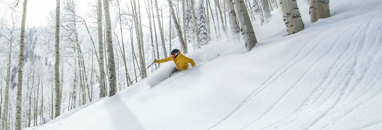 A skiier in a yellow jacket skiing through the Aspen trees.