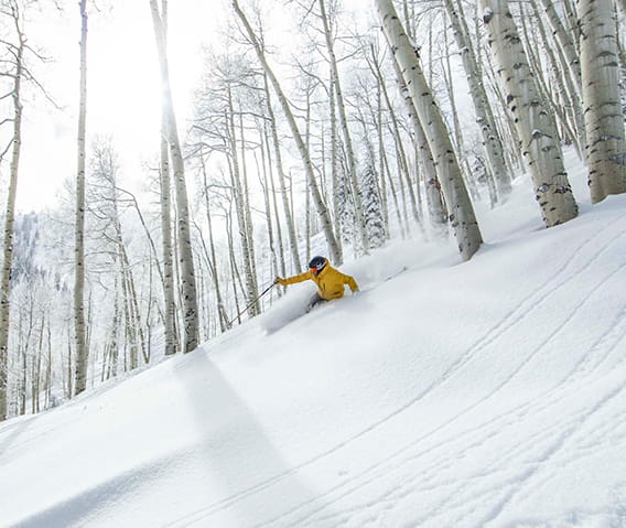 A person in a yellow jacket skiing down the mountain through Aspen trees.