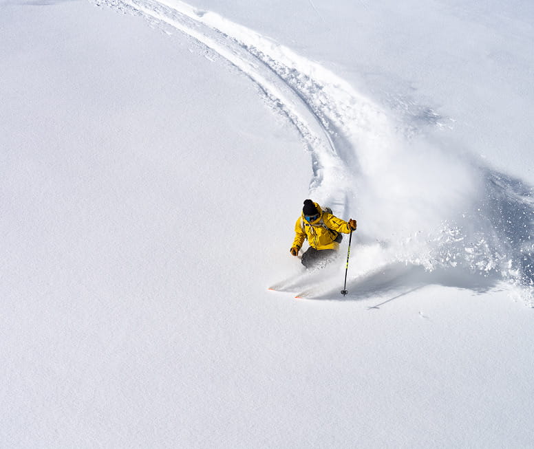 skier skiing powder