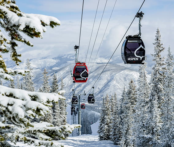Gondolas going down Aspen Mountain with snowy trees and mountains 