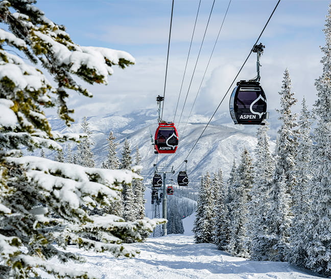 Gondolas going down Aspen Mountain with snowy trees and mountains 