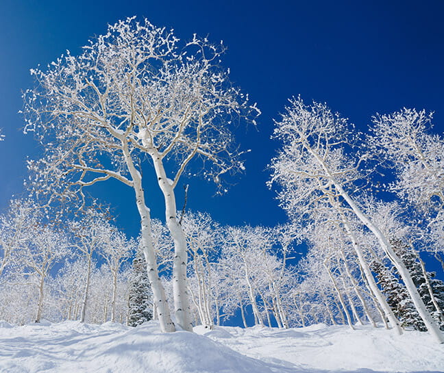 Click here to view The Little Nell's COVID-19 safety procedures.