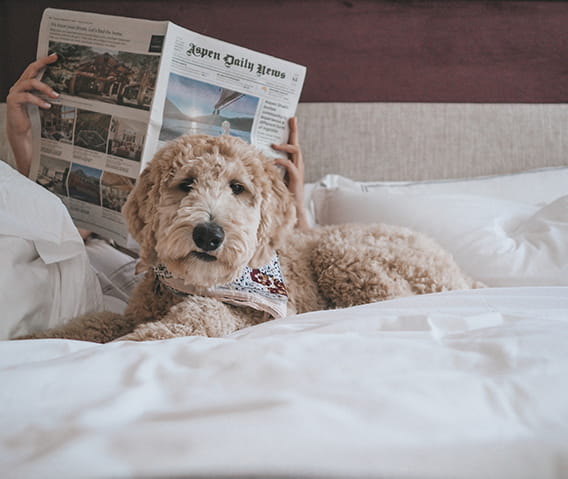 click here for amenities