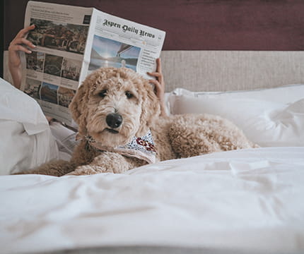 click here for amenities