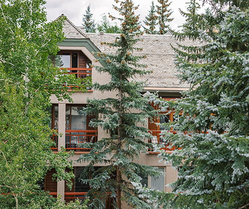 exterior of hotel through trees