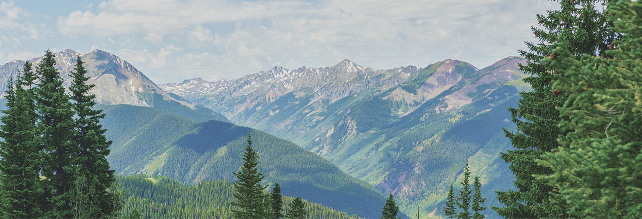 aspen mountains in the summer