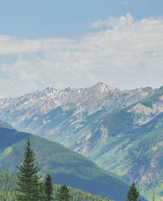 aspen mountains in the summer