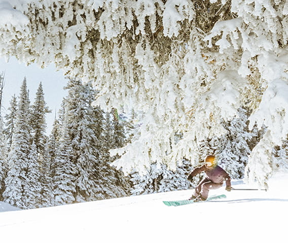 Skier going down the mountain on a bluebird day.  