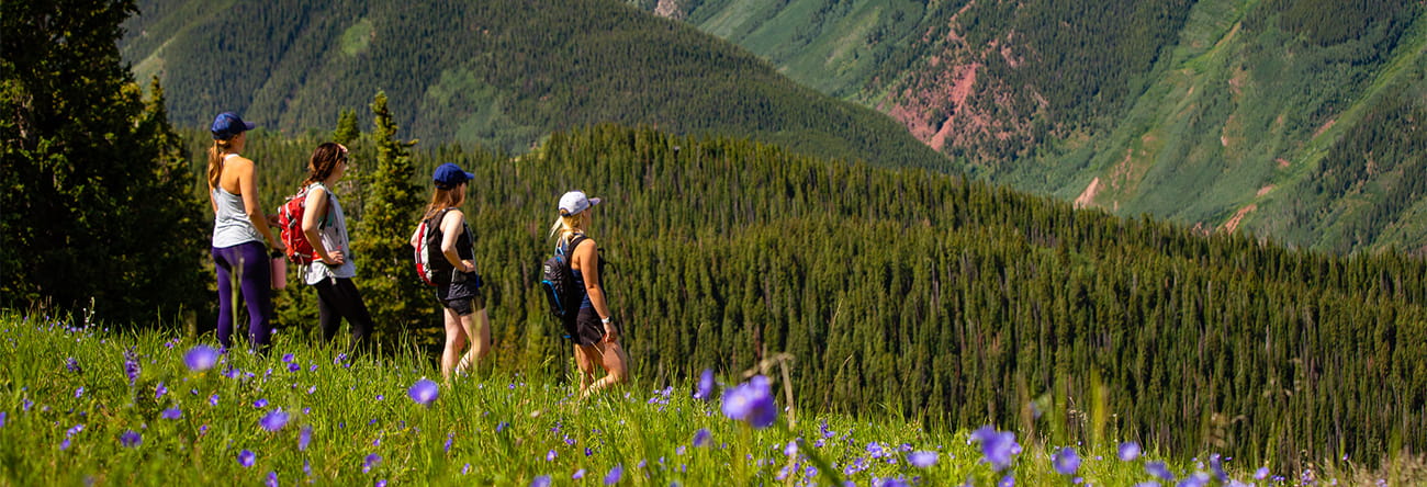 Four women hiking through green grass and purple wildflowers in the mountains.