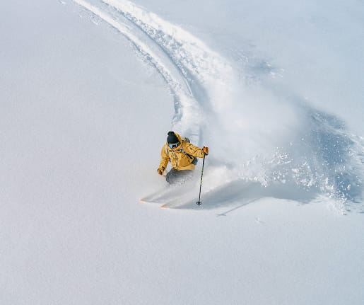 skier skiing powder