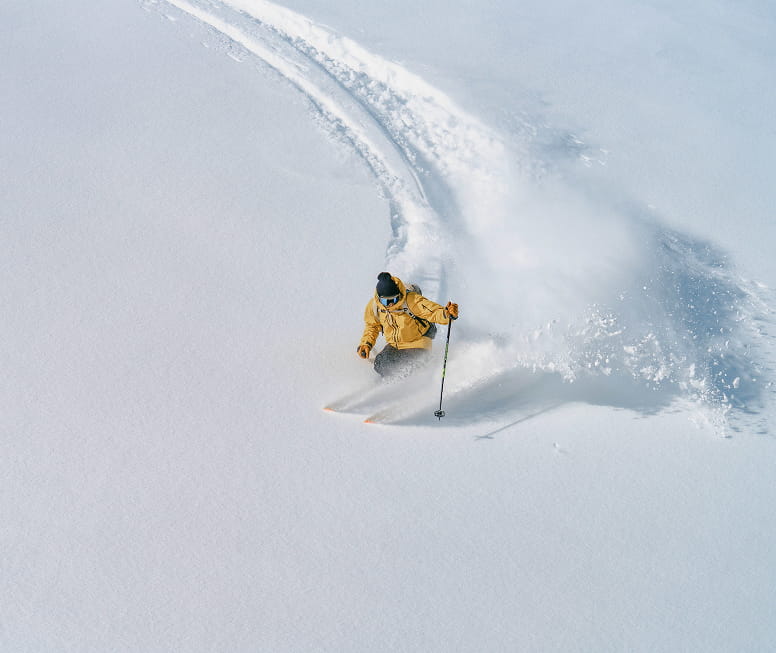 skier skiing powder