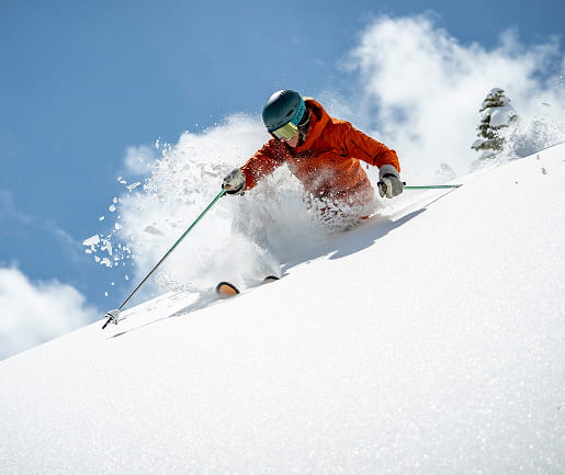 skier skiing powder